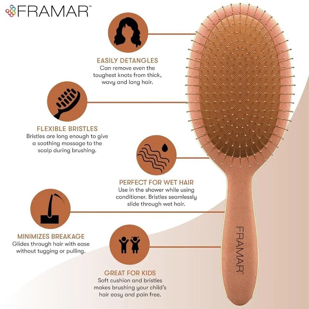 Wet Hair Brush Detangler – Wet Hair Brushes For Women - Premium Hair Brush Clean